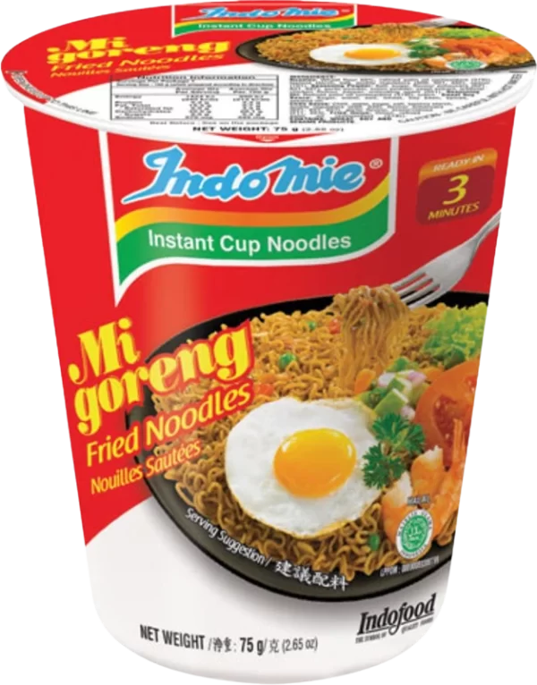 mi goreng fried noodles