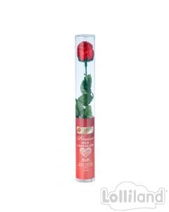 Lolliland Rose Milk Choc Cylinder 24x18g